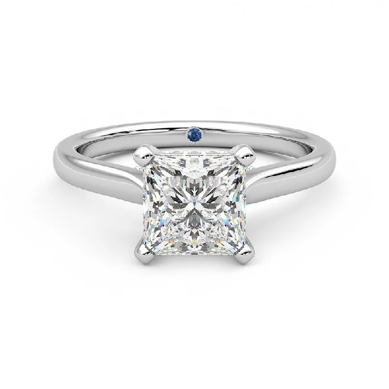 Princess Cut Moissanite Engagement Ring with Hidden Anniversary Stone and Secret Accents