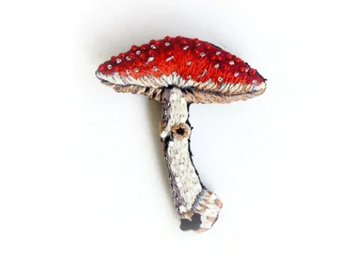 Fly Amanita Mushroom